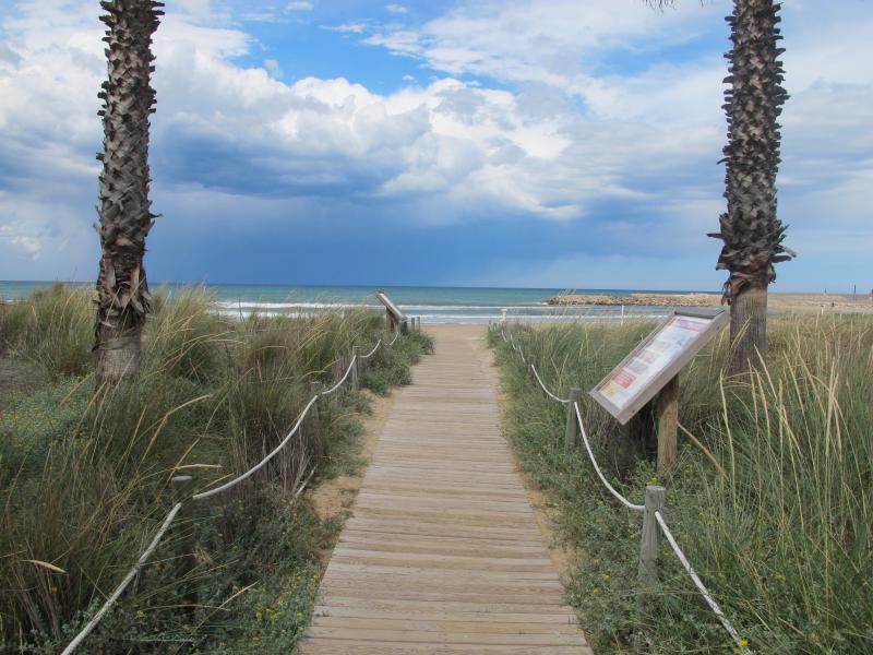 dunas playa de oliva